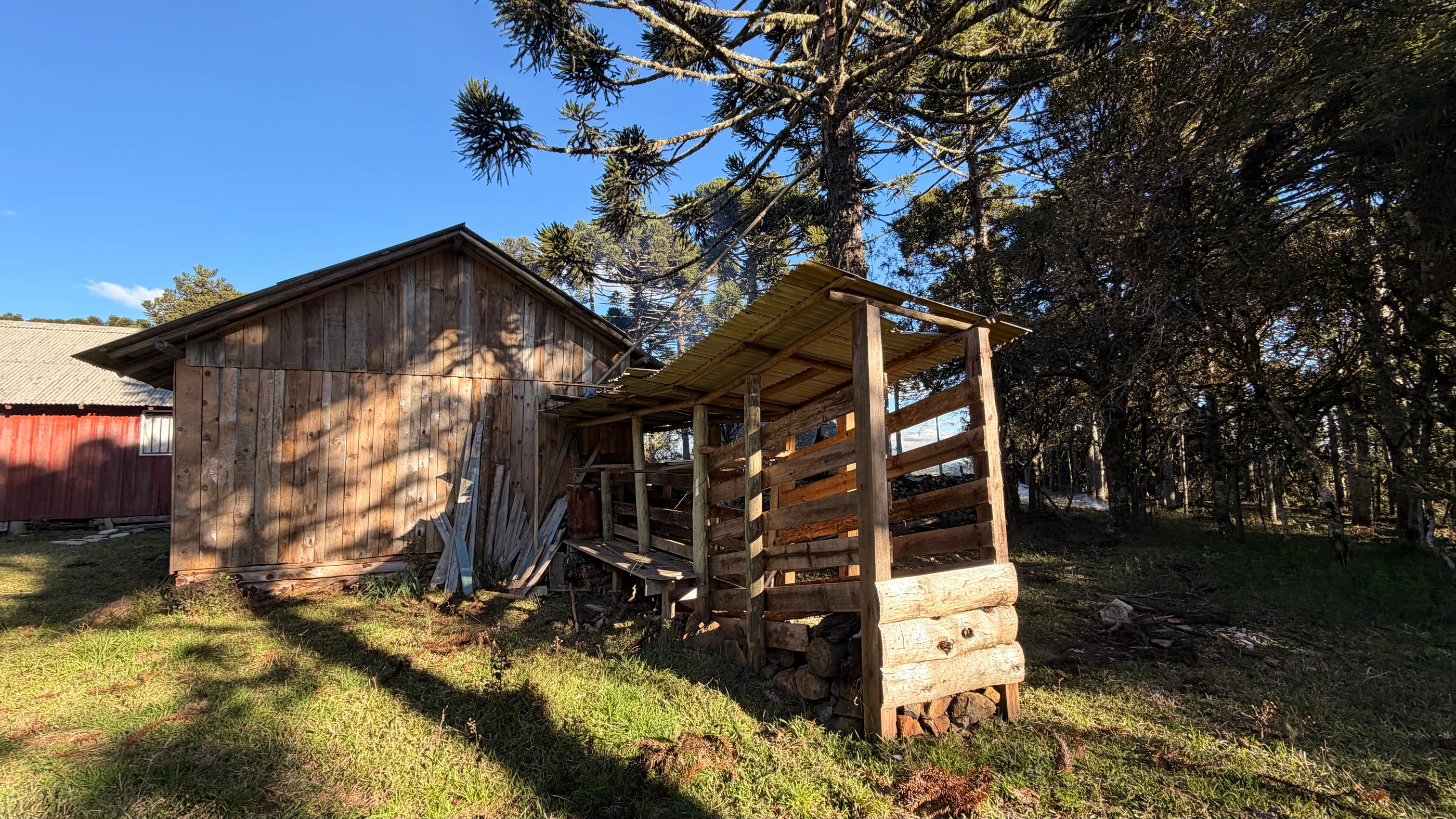Sítio com 31,3 ha em Painel — SC — foto 3