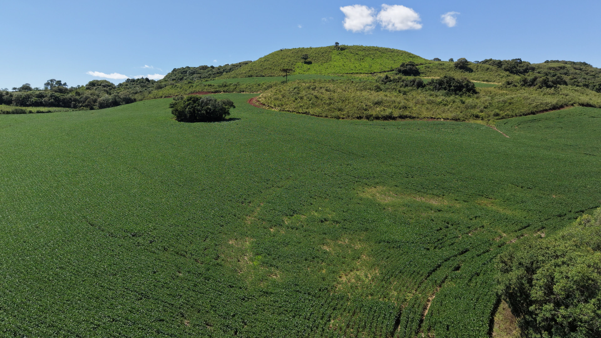 Fazenda com 120 ha em Campo Belo do Sul — SC — foto 5