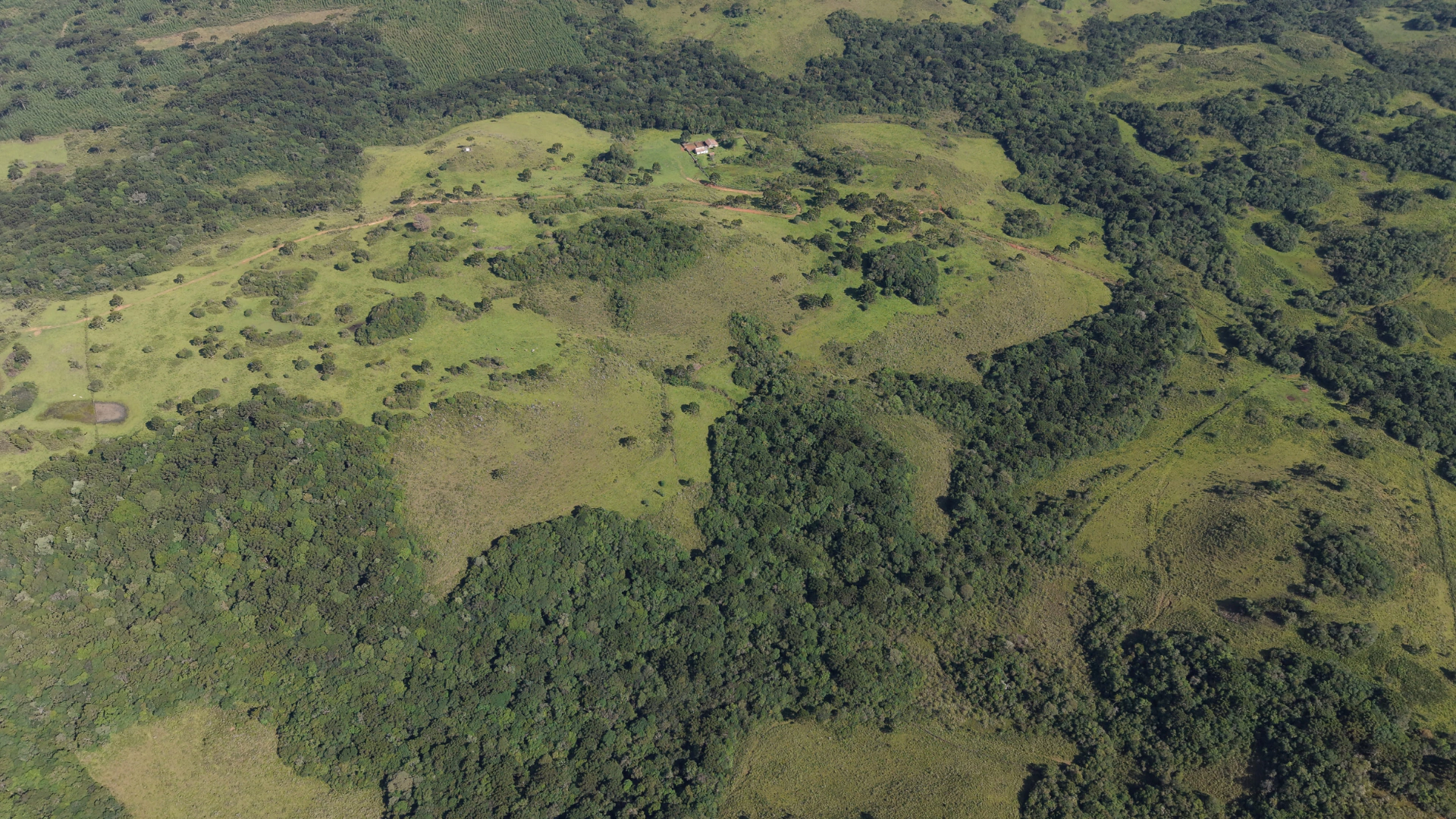 Fazenda com 236 ha em Capão Alto — SC — foto 2
