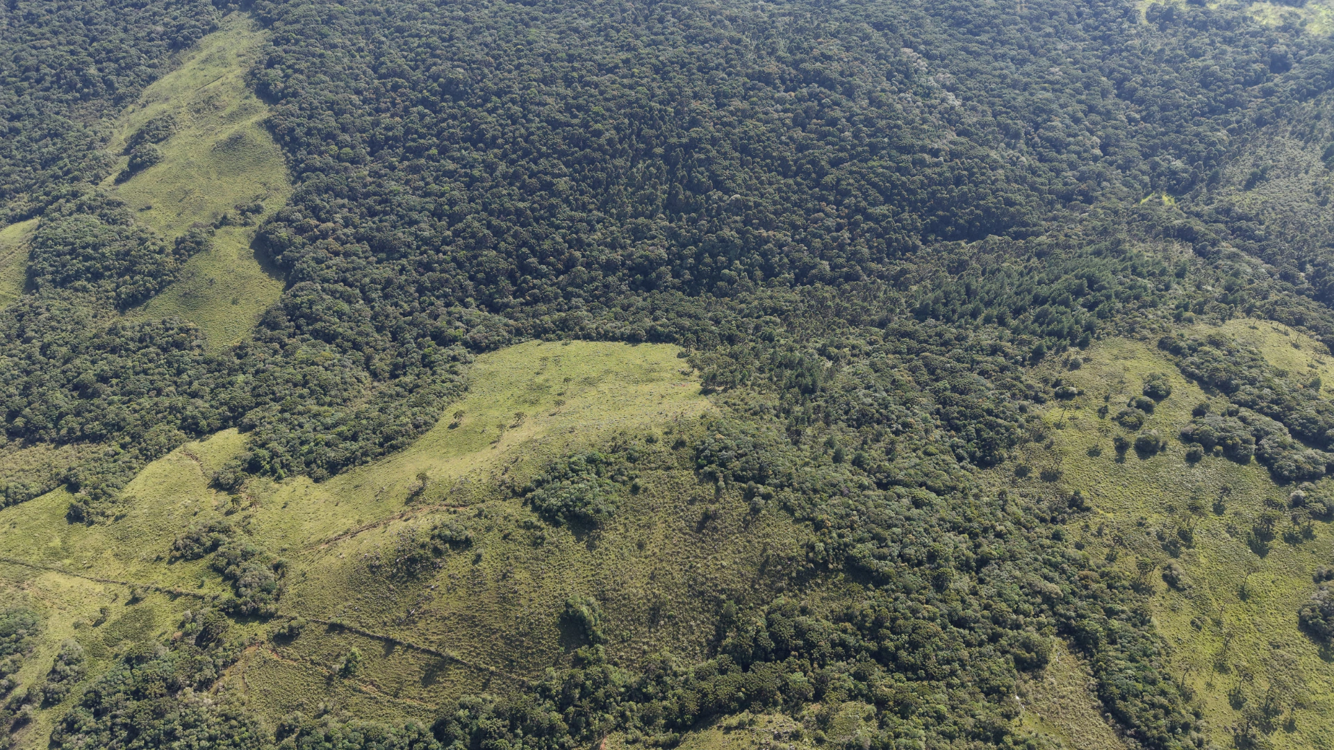 Fazenda com 236 ha em Capão Alto — SC — foto 3