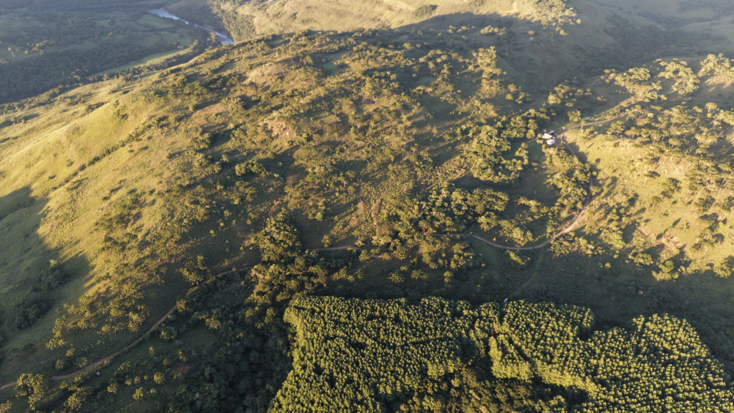 Área de terra com 132 ha em São Joaquim — SC — foto 4