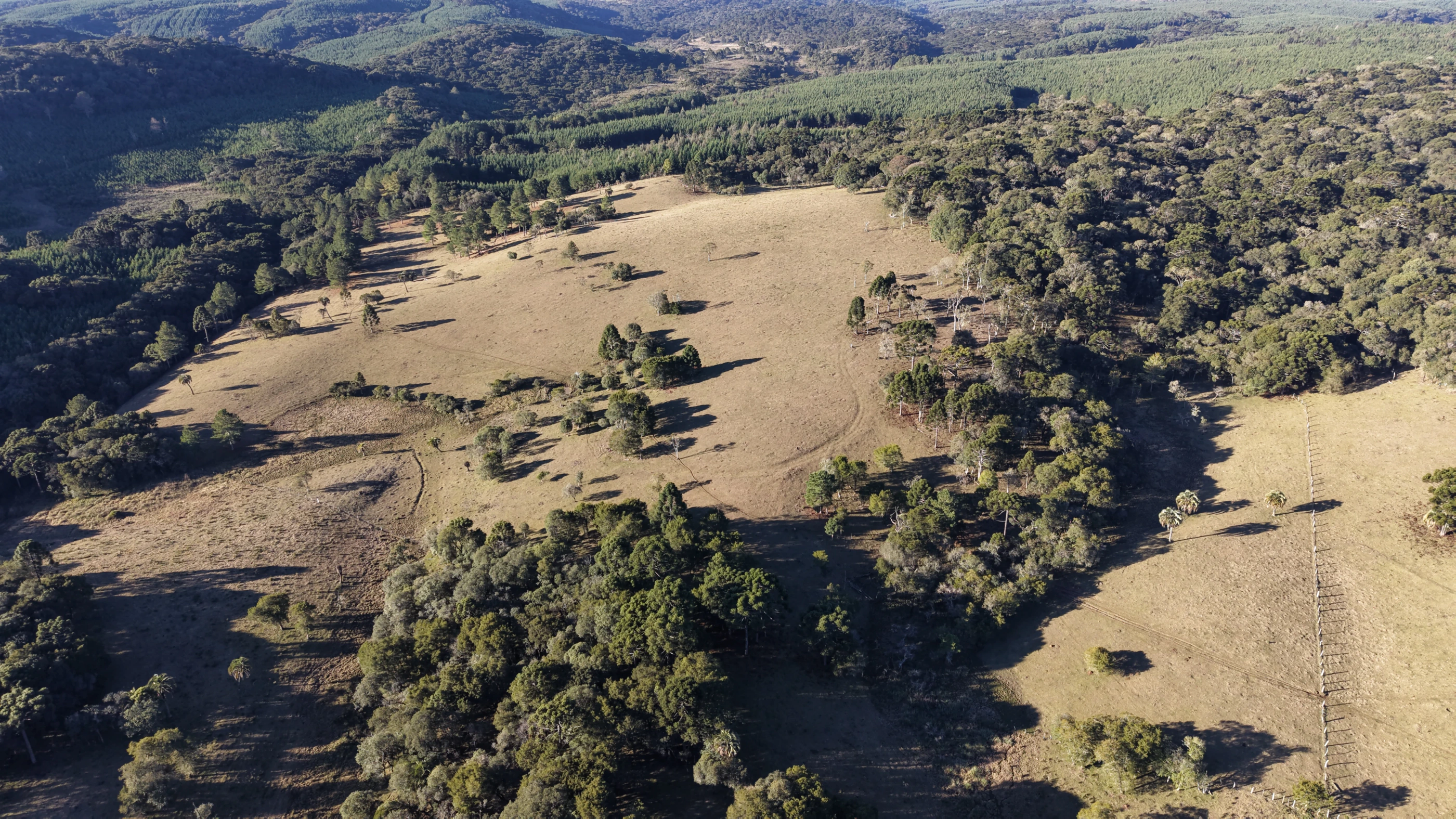 Sítio com 16,8 ha em São José do Cerrito — SC — foto 5